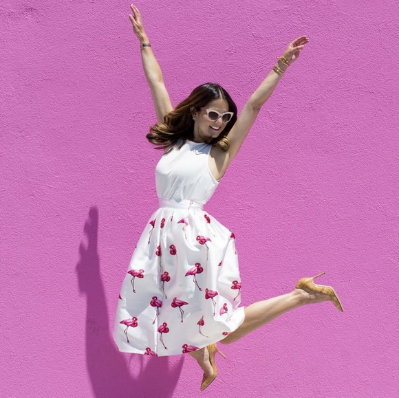 Chicwish Dresses & Skirts - Chic Wish | 🦩 White Flamingos Plated Skirt